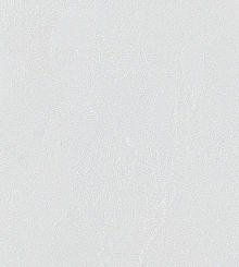 Серые обои для стен Bernardo Bartalucci Gaga  84284-14